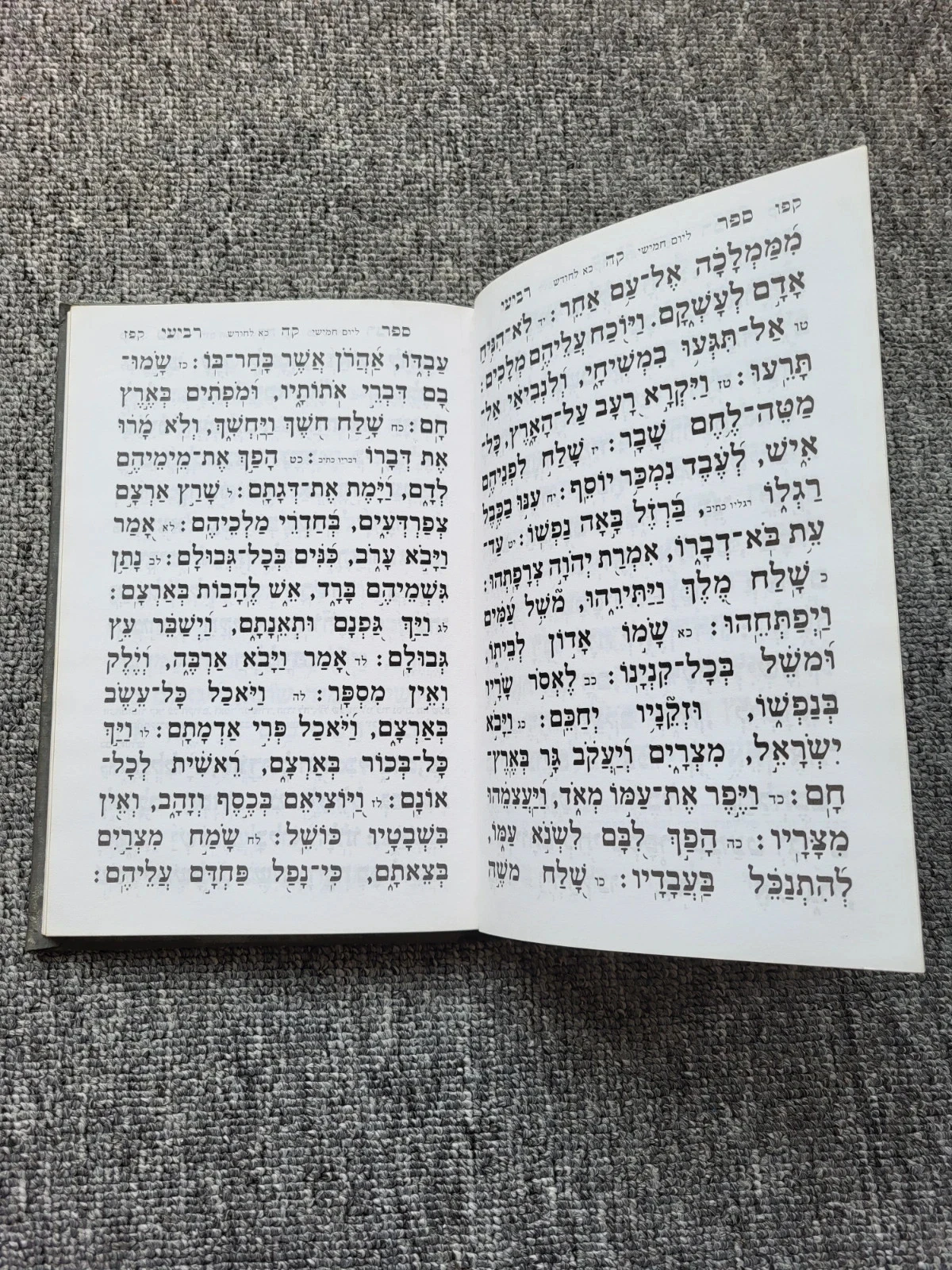 Libro Tehilim Salmos de David Hebreo Antiguo Judaísmo Torá Sinagoga Antigüedad – photo 7
